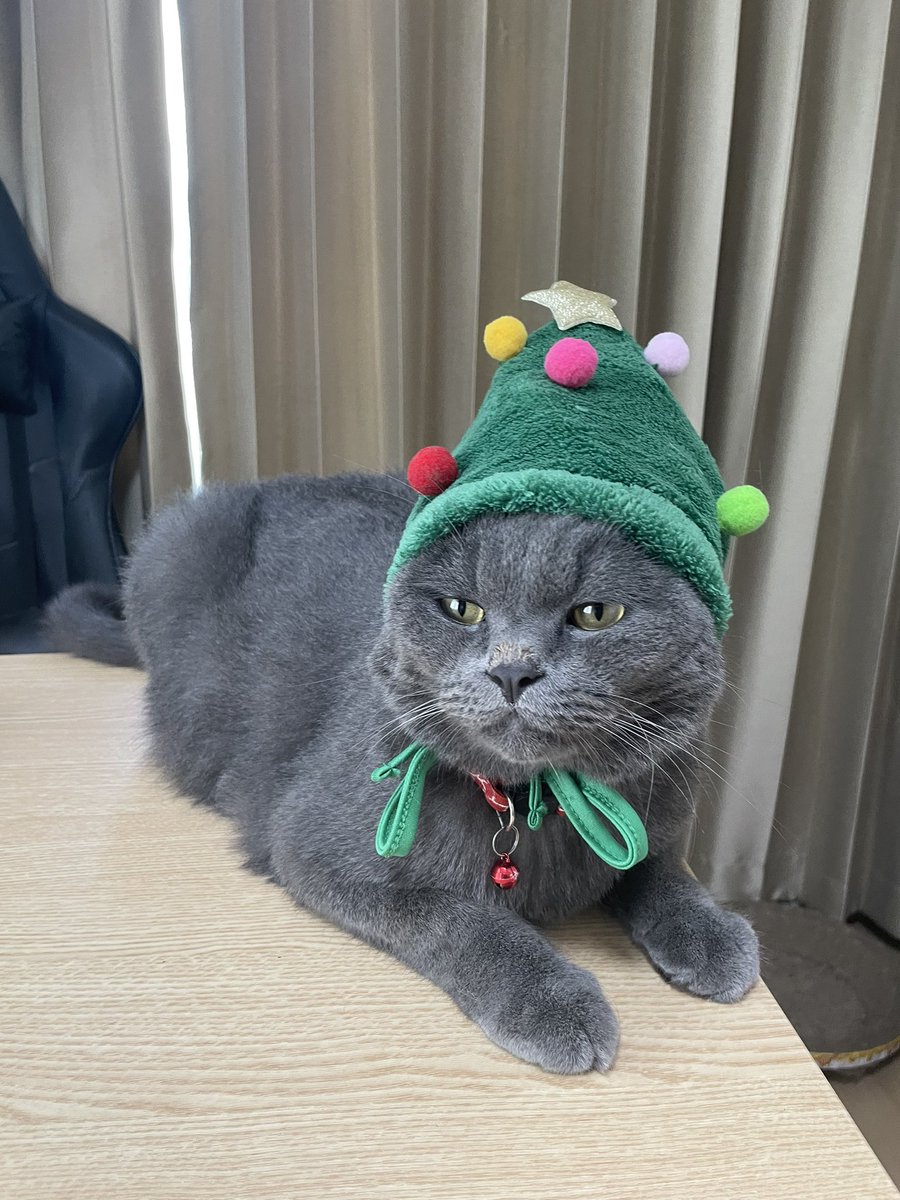 GG_GGJs's tweet image. You're just like Christmas day 🎄
╲⠀╲ ⋆⠀╲         ╲
   ╲⠀╲     ☾⋆.˚ ⠀ ╲ ⋆｡
      ☆⠀ ╲⠀⠀ ⊹   ⠀.   ☆
                  ⊹ ⠀⠀ ★