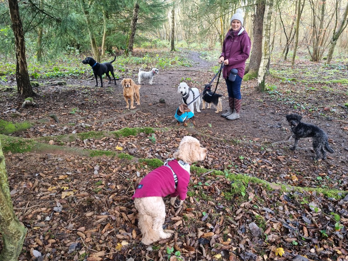 We would like to wish you all a very Merry Christmas and thank you for your wonderful support throughout 2021. We appreciate you all more than we could ever say. Darrin and Julie x