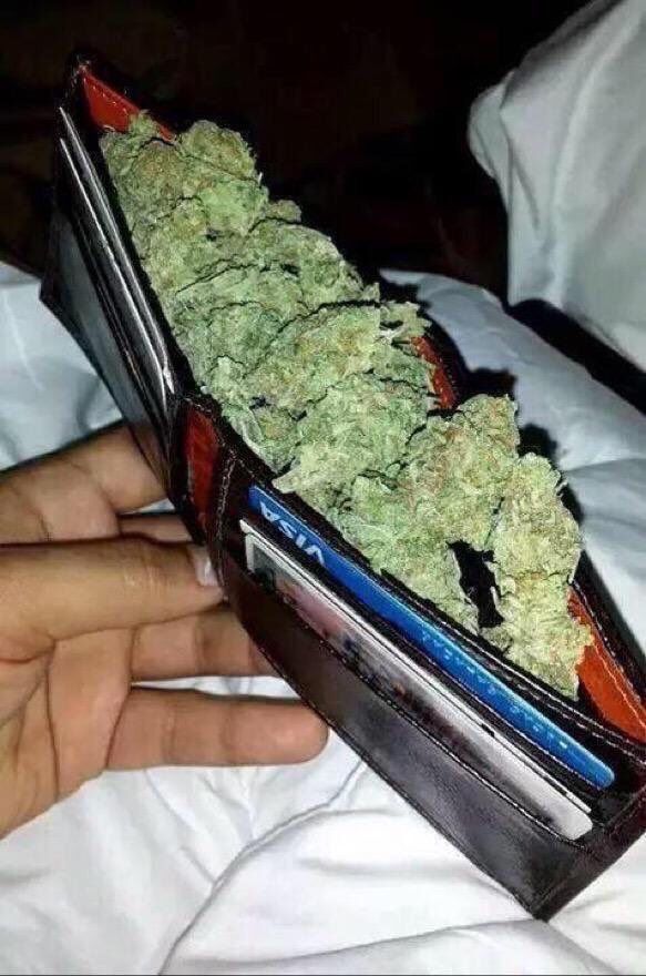 WeedPorns's tweet photo. Where did all your money for Christmas presents go?

Me: https://t.co/nq7mCeUPYN