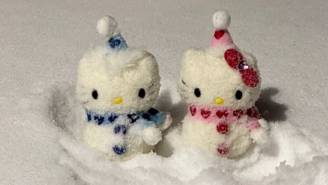 𝗆𝖾𝗋𝗋𝗒 𝖼𝗁𝗋𝗂𝗌𝗍𝗆𝖺𝗌 𝟤𝟢𝟤𝟦 .ᐟ.ᐟ

° 。 ° ˛˚˛ * _II_____*。*
˚ ˛ •˛•˚ */______/- ＼。˚
˚ ˛ •˛• ˚ ｜ - -  ｜[ ]｜　☃︎ᔦᔧ 

 #MerryChristmas