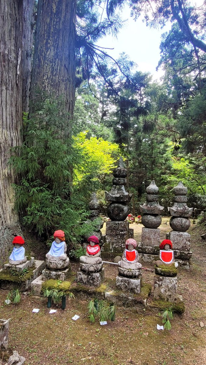 leclercjm's tweet photo. Volet 2/5 de mon carnet de #voyage au #Japon: le cimetière d'#Okunoin. Ce parchemin de pierre déroule l'histoire de l'archipel, de ses grandes familles, ses #batailles, ses #trahisons. Un chaos d'intrigues semé de #suicides rituels... @leclercjm @Le_Figaro
https://t.co/oJTzcTPs18 https://t.co/Z6qCPoqMnO