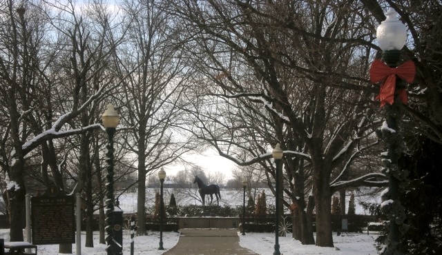 Dorothy Ours tweet media