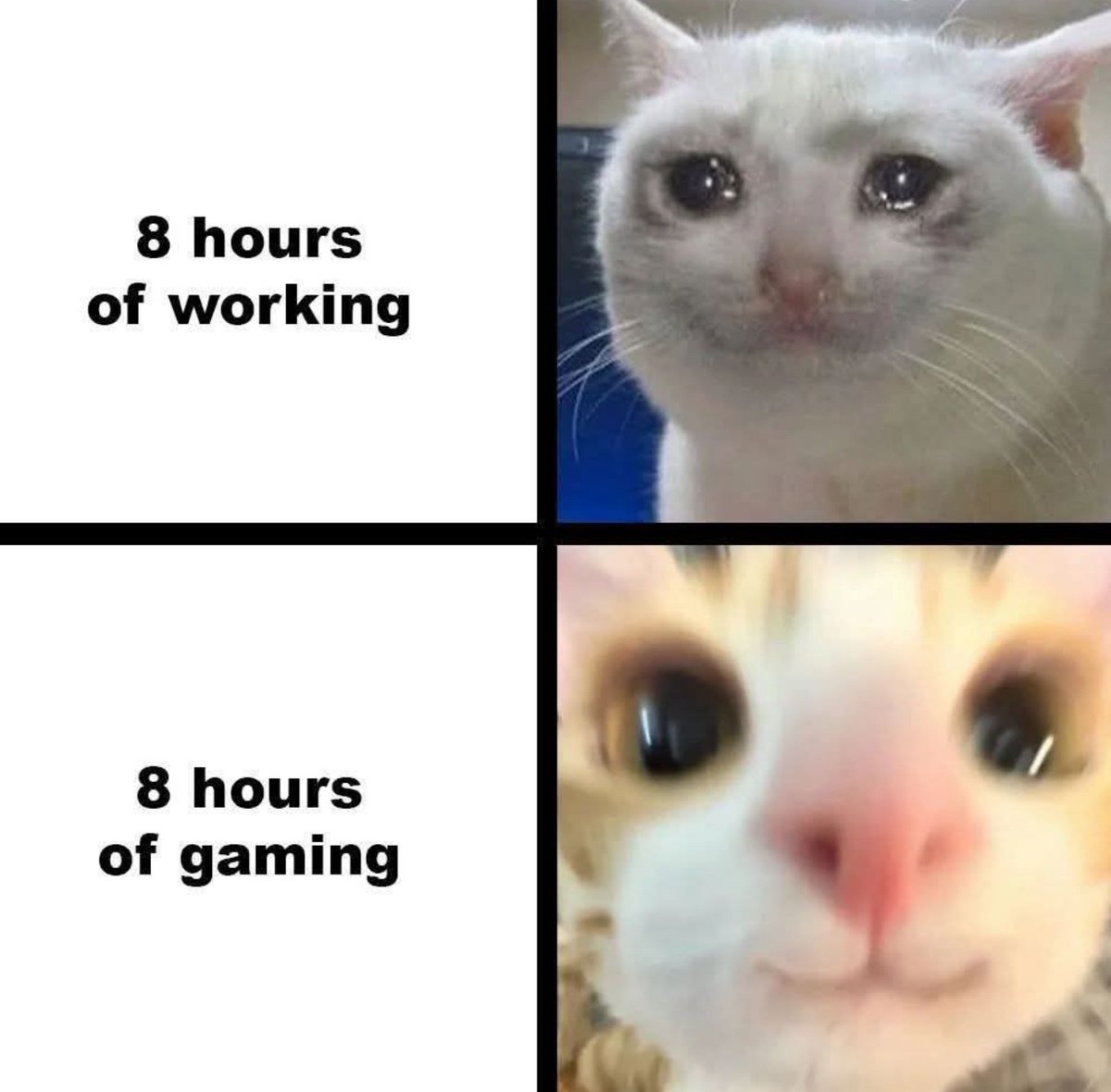 True