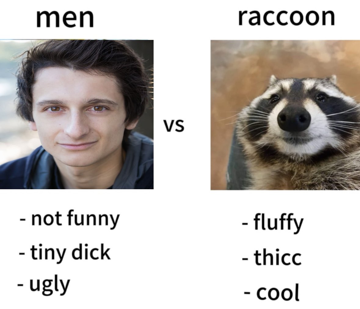 raccoonesthetic's tweet image. 