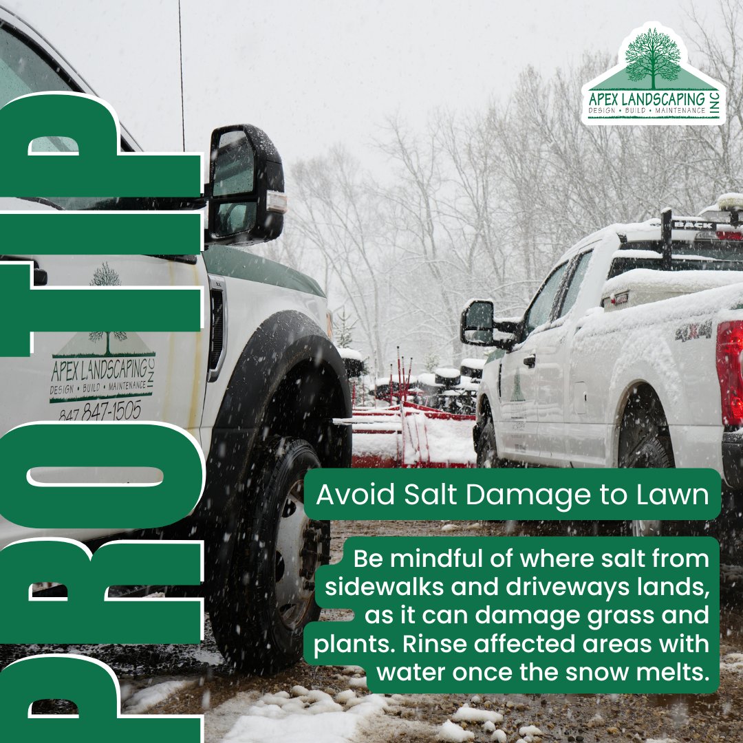 ApexLandscaping's tweet photo. Road salt can harm your lawn and plants. Rinse affected areas after the snow melts to minimize damage. #SaltDamage #WinterLandscaping #ApexLandscaping https://t.co/7OjRaKeBtZ