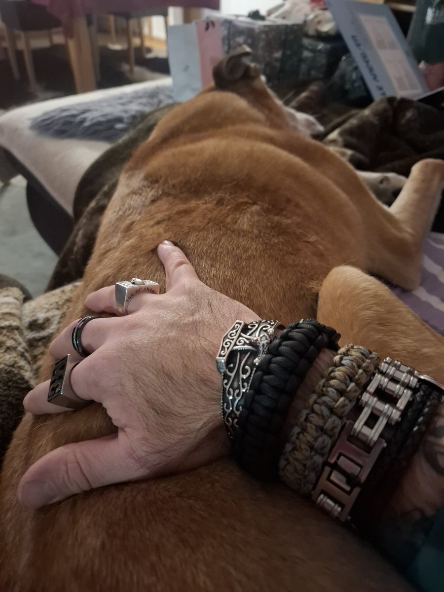 MF1985's tweet image. Frohe Weihnachten 🎄!