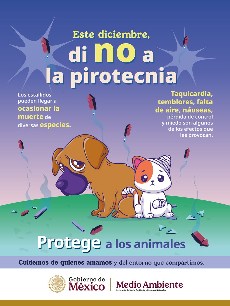 SEMARNAT_mx's tweet photo. 🐶🐱🐰🦊¡Ellos también sufren! Este diciembre protejamos a los animales, #DiNoALaPirotecnia. 

Cuidemos el entorno en donde vivimos y a quienes vivimos en él. 

#SomosMedioAmbiente https://t.co/QvjhWakiRV