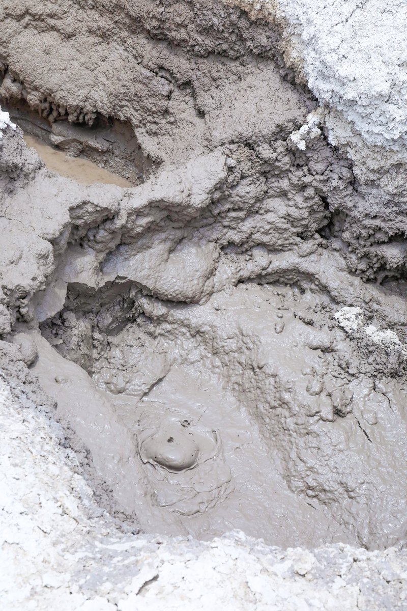 Awel Arba tweet media