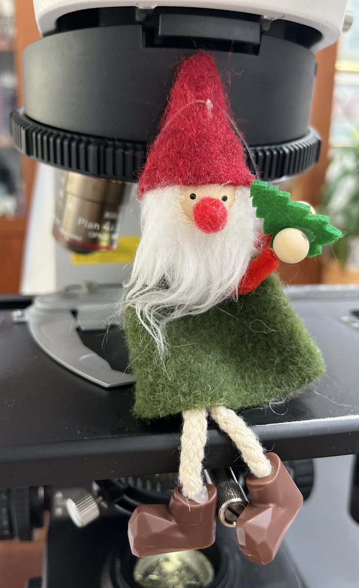 Dina Tiniakos (@dinatiniakos) on Twitter photo Gnome 🔺for Christmas🎄! #Liver 🔬🩺: Don’t miss our recent 🔺publication on PSVD! <a href="/ESP_Pathology/">European Society of Pathology (ESP)</a> <a href="/EASLnews/">EASLnews</a> <a href="/LiverInt/">Liver International</a> <a href="/AASLDtweets/">AASLD</a> <a href="/my_ueg/">my_UEG</a> <a href="/LiverPath_HPHS/">Hans Popper Hepatopathology Society</a> <a href="/UKLiverPath/">UK Liver Pathology Group</a> #livertwitter #Christmas #pathTwitter <a href="/TheUSCAP/">USCAP</a>
doi.org/10.1111/liv.16… Gnome 🔺for Christmas🎄! #Liver 🔬🩺: Don’t miss our recent 🔺publication on PSVD! <a href="/ESP_Pathology/">European Society of Pathology (ESP)</a> <a href="/EASLnews/">EASLnews</a> <a href="/LiverInt/">Liver International</a> <a href="/AASLDtweets/">AASLD</a> <a href="/my_ueg/">my_UEG</a> <a href="/LiverPath_HPHS/">Hans Popper Hepatopathology Society</a> <a href="/UKLiverPath/">UK Liver Pathology Group</a> #livertwitter #Christmas #pathTwitter <a href="/TheUSCAP/">USCAP</a>
doi.org/10.1111/liv.16…