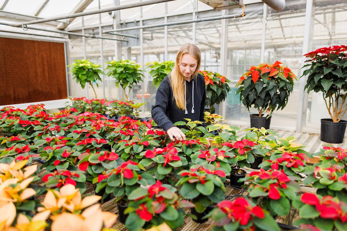 calpolychief's tweet image. Wishing all Mustangs a joyful and relaxing holiday season!