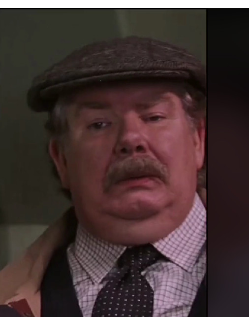 OMG Krónan fékk Vernon Dursley til að pósa í jólaauglýsingunni sinni!