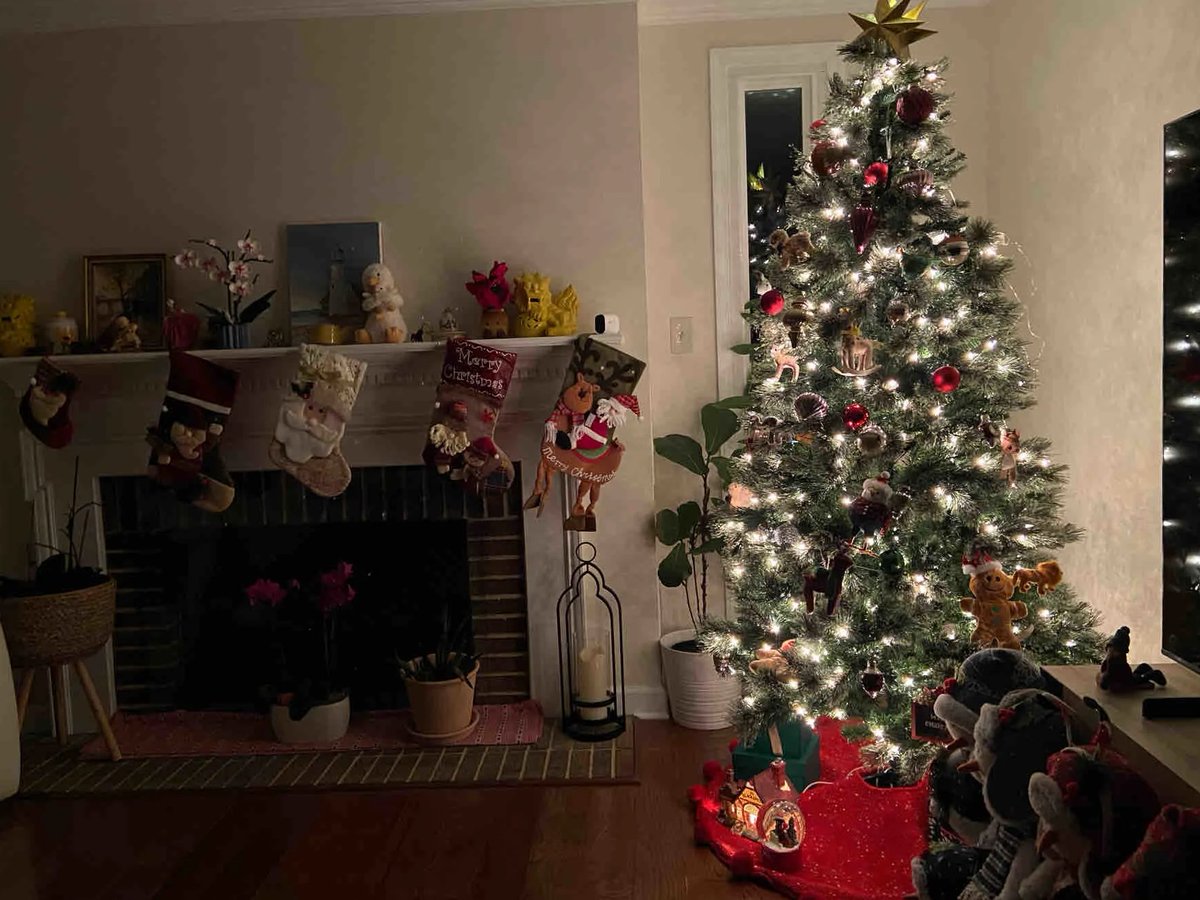 LunaChen88's tweet photo. What do you think of this Christmas tree? https://t.co/qdbp4zdhaf