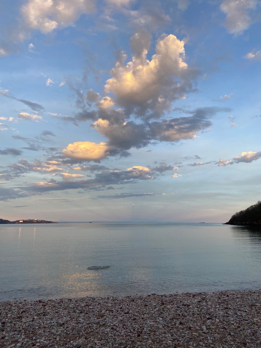 Tim Andrews tweet media