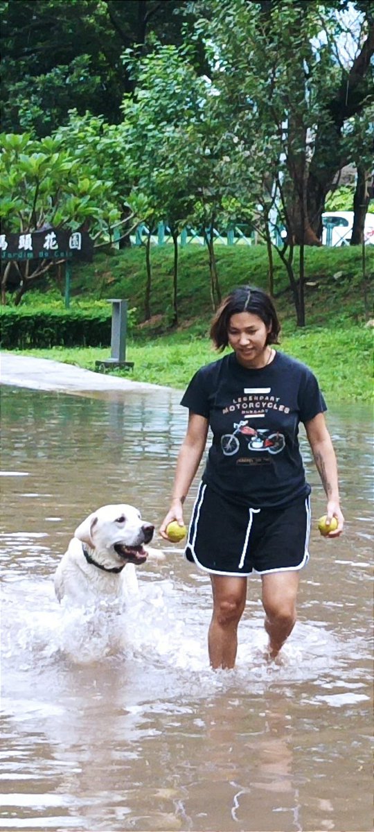 Fátima Ferreira tweet media