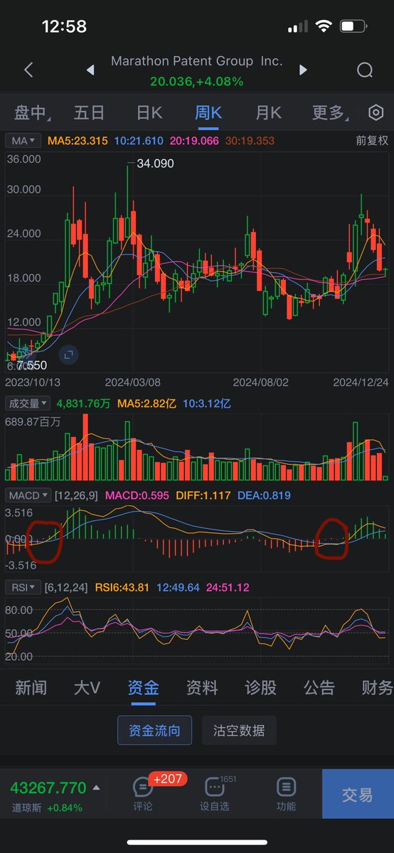 小鱼Ниймо🐾☘️🌸 tweet media