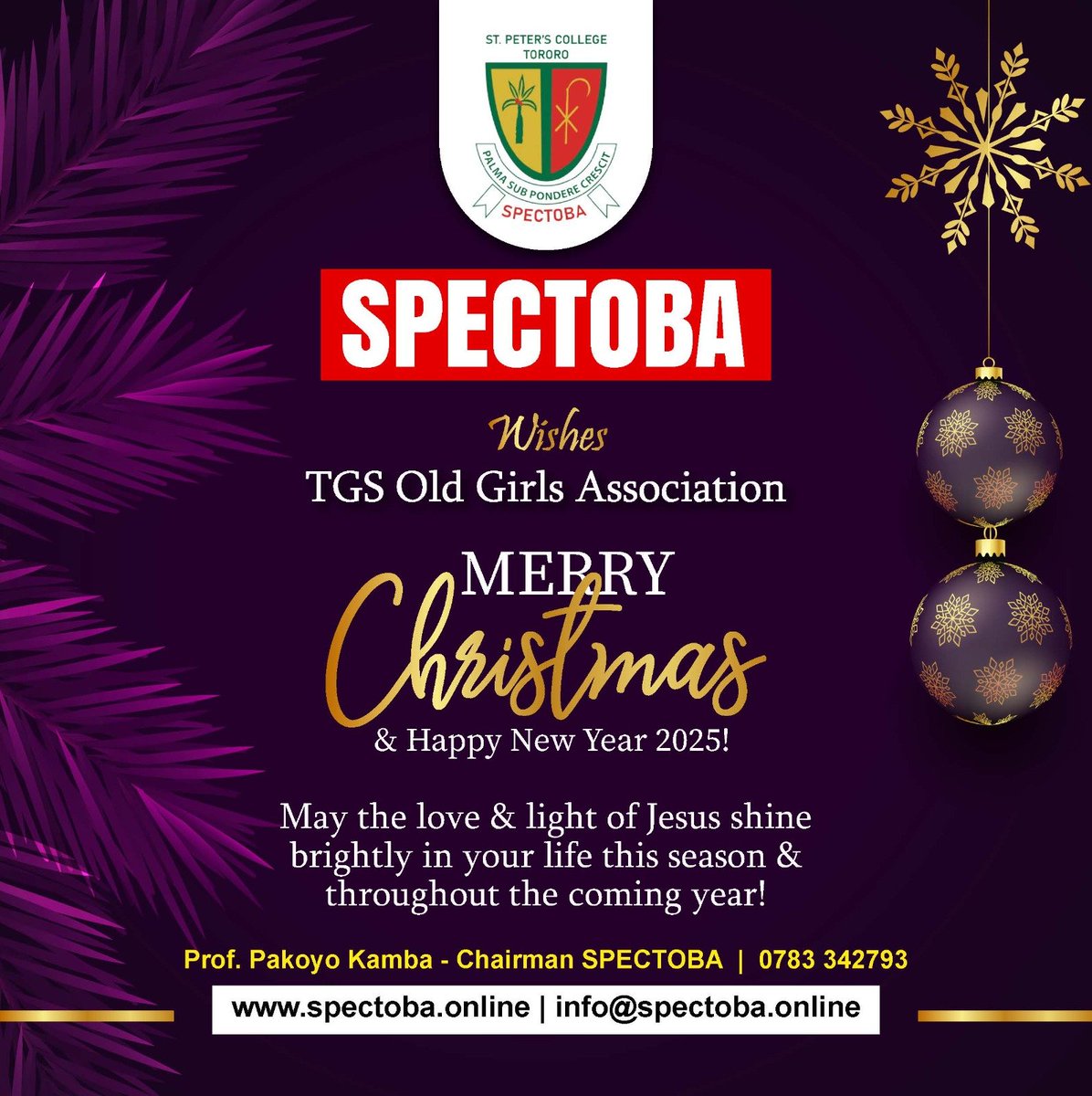 SPECTOBA Official (@spectobao) on Twitter photo 