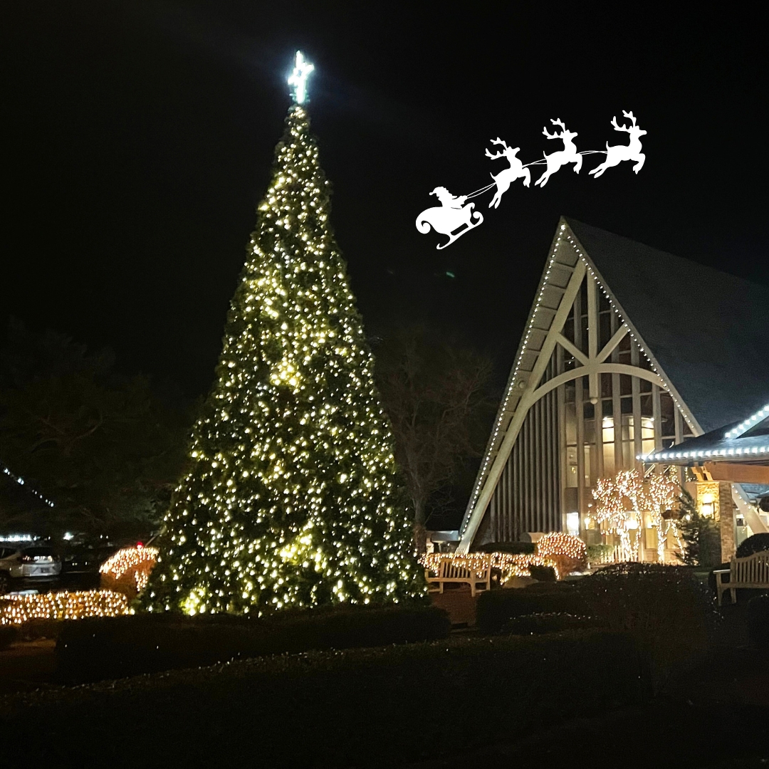 🎄✨ Cozy up this Christmas Eve with festive vibes, warm hearts, and magical moments! Wishing you and your loved ones a holiday season full of joy and cheer. 🌟❤️