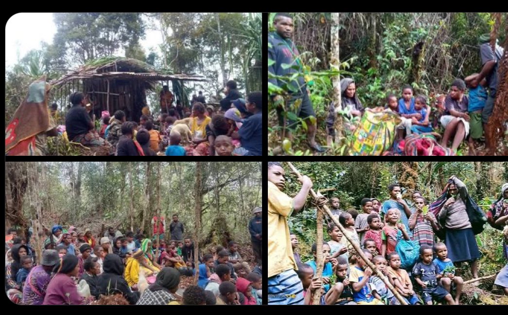 Friends of west papua, as you celebrate Christmas with loved ones please keep The people of West Papua in your thoughts and prayers especially civilians displaced in Oksop District, Intan Jaya, Nduga Mybarat and in Puncak Jaya. Wa Wa Wa.