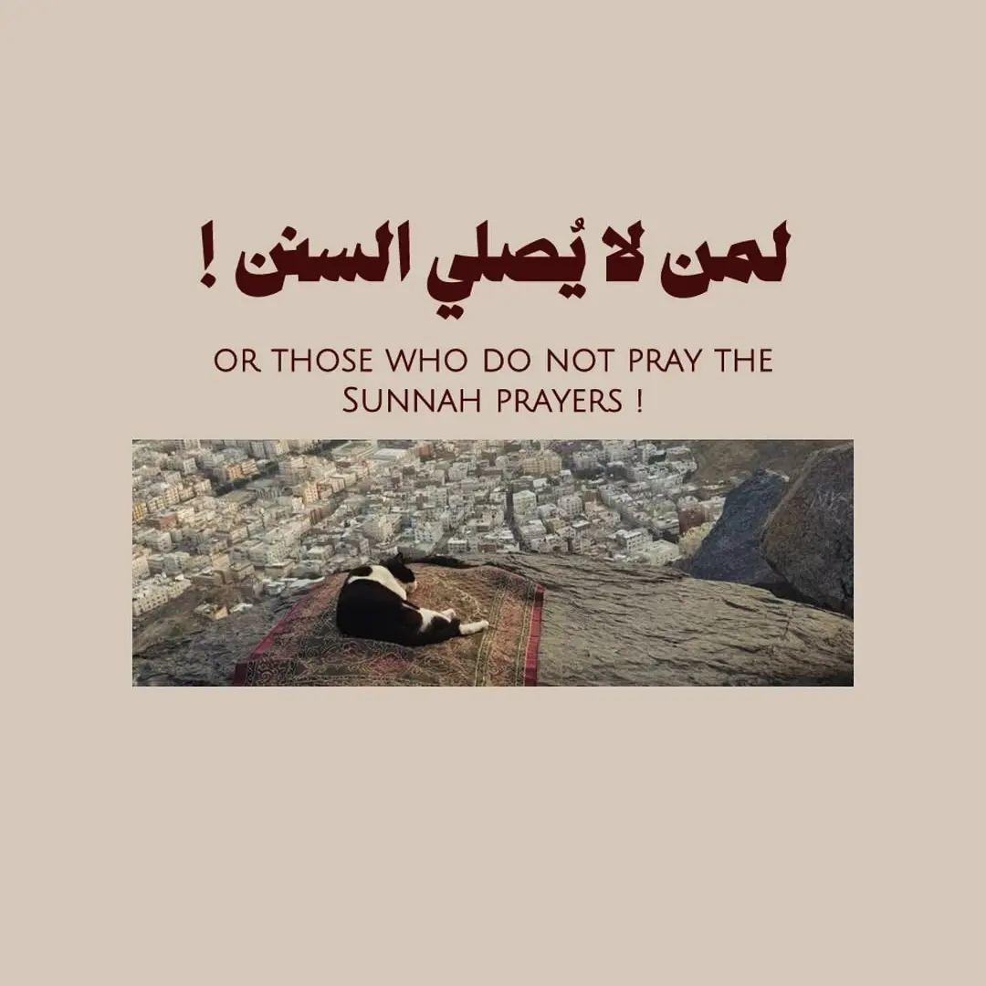 لمن لا يصلي السنن!

تابع أسفل التغريدة :