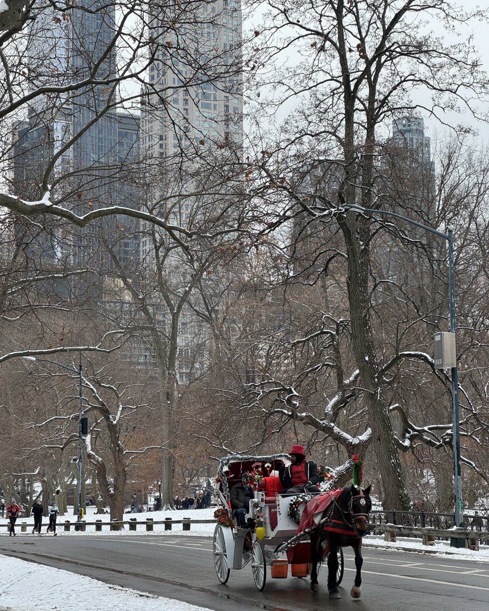 Happy holidays from snowy nyc!