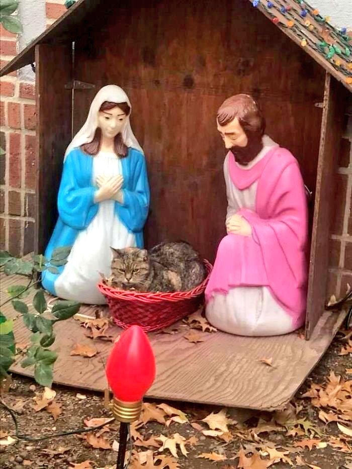 kiranpatel1977's tweet photo. "MARY, WE NEED TO TALK." - Jesus, Probably after a Miracle gone Slightly Wrong. 😅💬

,📸 Brook Goldman 

#Christmas
#MerryChristmas
#Christmas2024
#MerryChristmas2024
#Christmaseve
 #EpicConversations #SacredChat https://t.co/O8ceqEJTEk