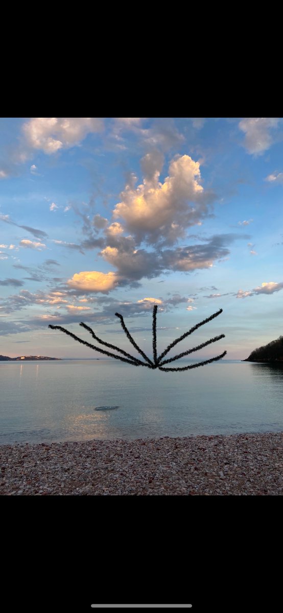 Tim Andrews tweet media