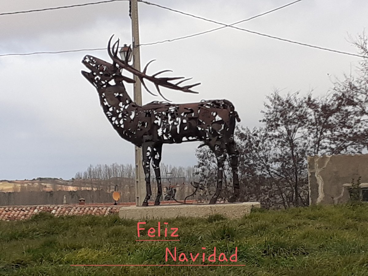 Feliz Navidad!!!