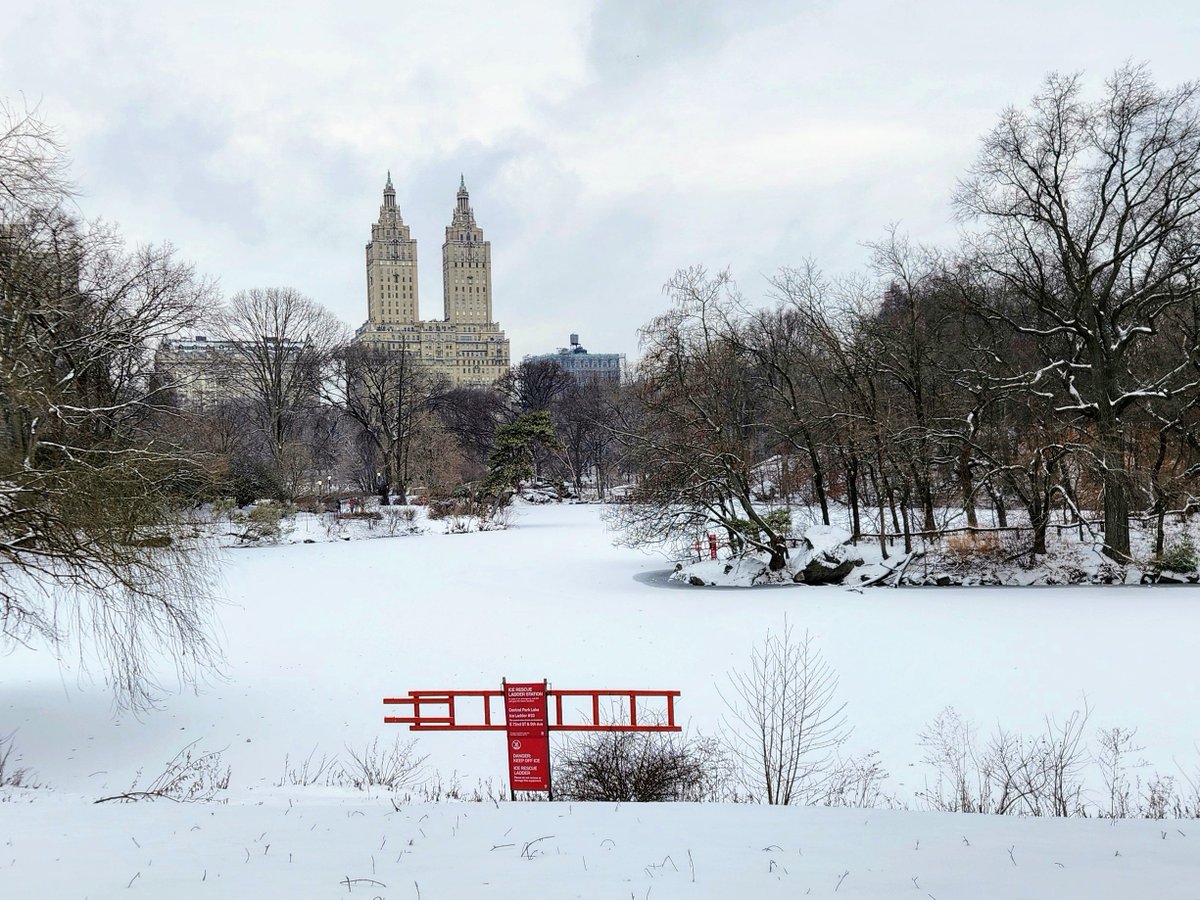 BirdCentralPark's tweet photo. The Central Park Lake is covered with snow today. ❄️ https://t.co/tCHznTPY6p