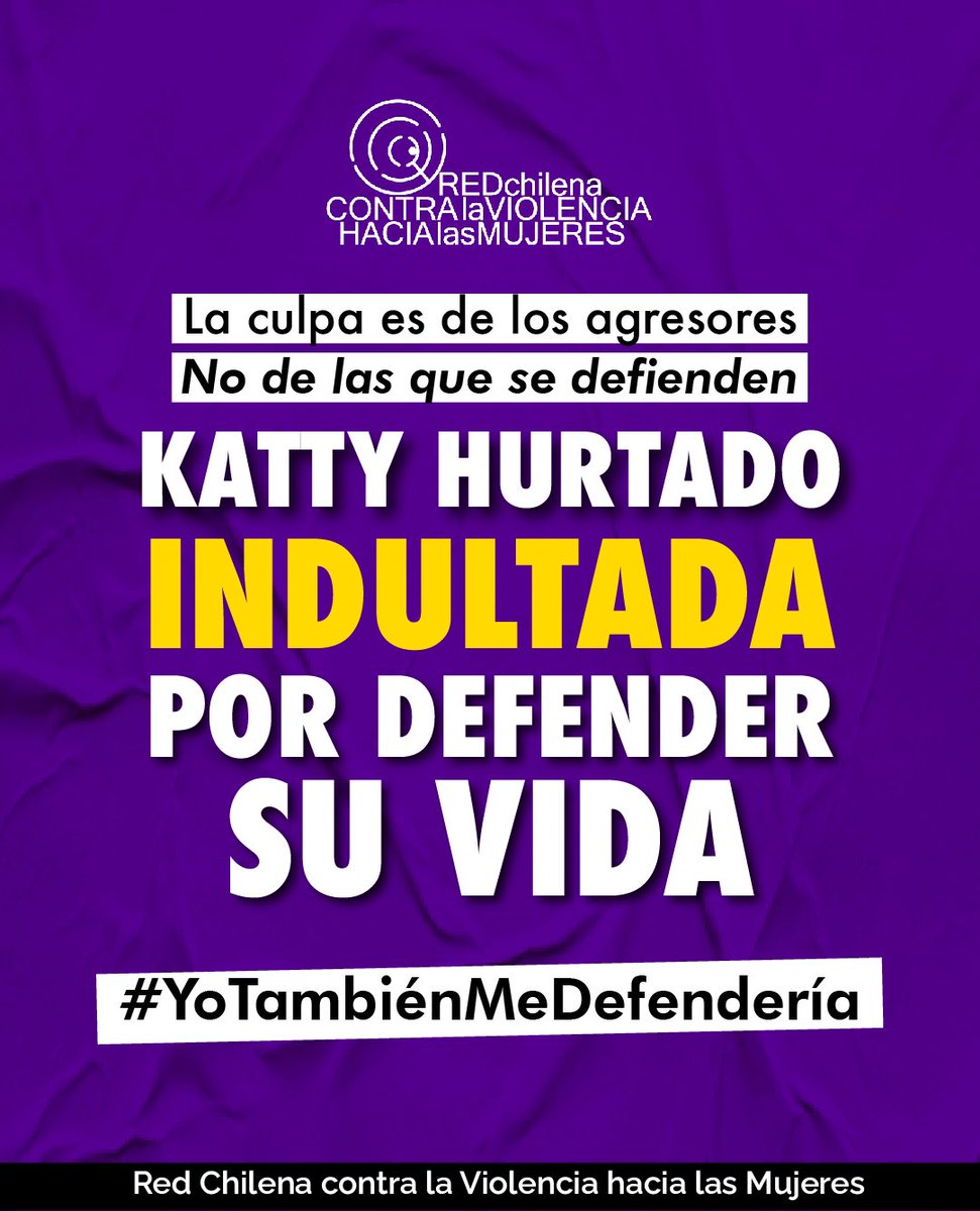 Red Chilena contra la Violencia hacia las Mujeres tweet media