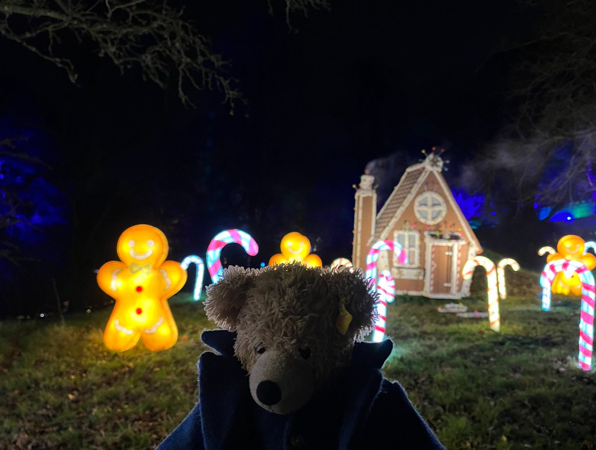 FlynnTheBear's tweet photo. Where's Hansel and Gretel? #FlynnTheBear #BishopAuckland #BishopsPalace #Aglow #XFiles #UFO #Drones https://t.co/OV0625sNCc