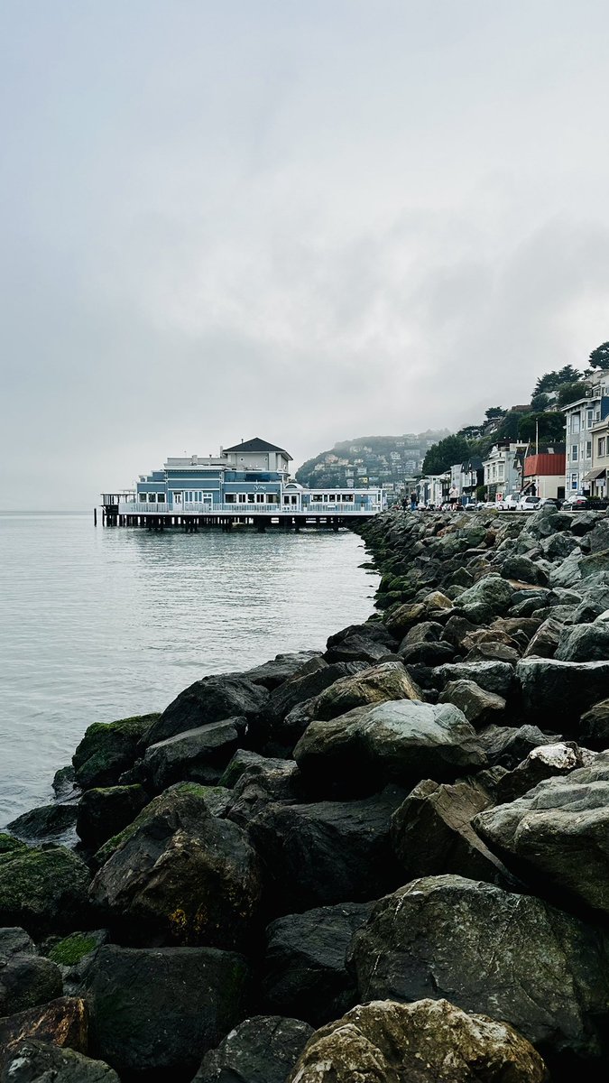 gracegan7's tweet photo. My Sausalito  dream come true 🤎 https://t.co/SG99fjau3Z