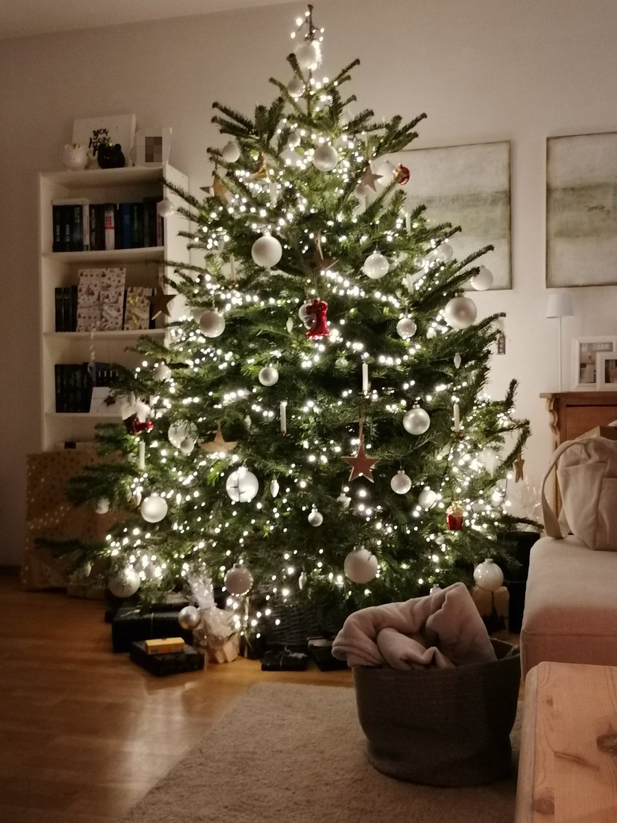 TipTails's tweet photo. Merry Chrimmis ^^ https://t.co/n20la2y2nL