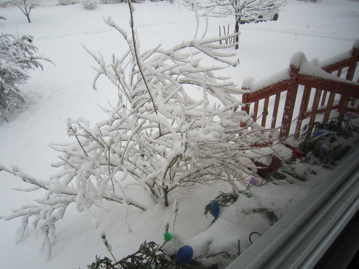 We're getting snowed on!!