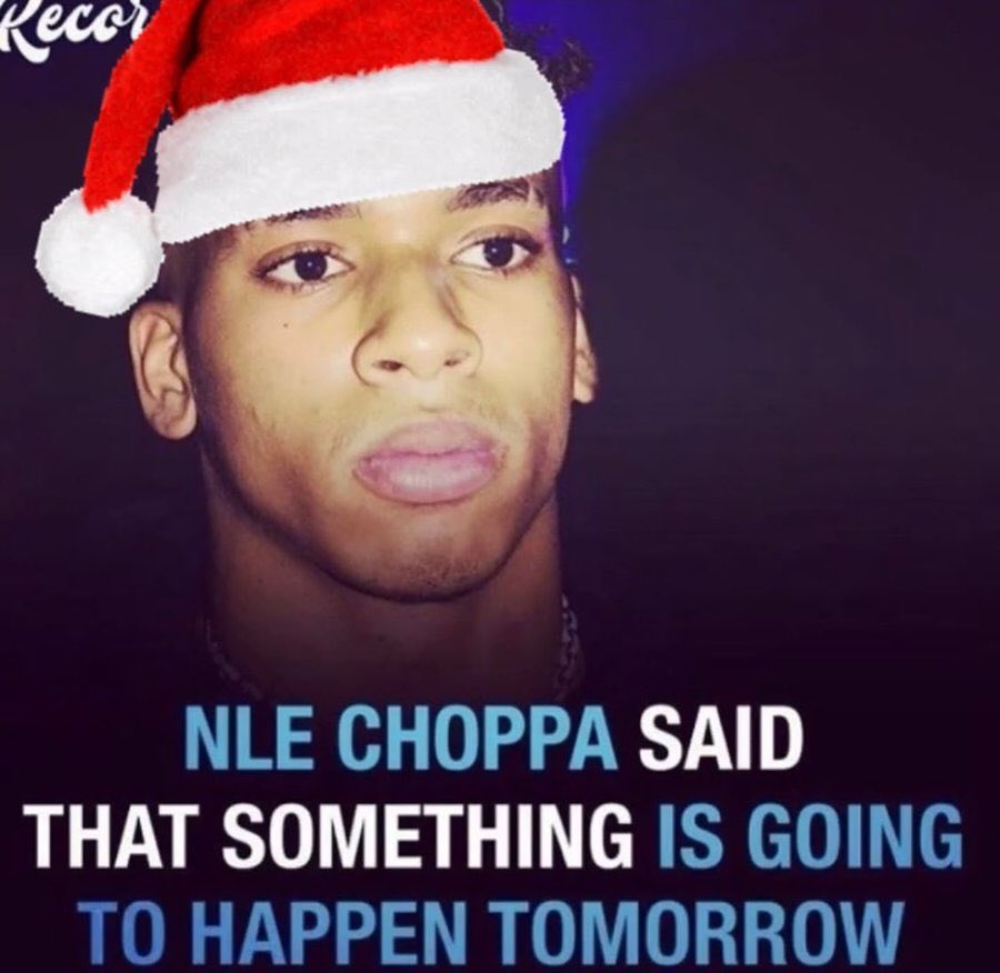 Zander (@birdintheground) on Twitter photo 