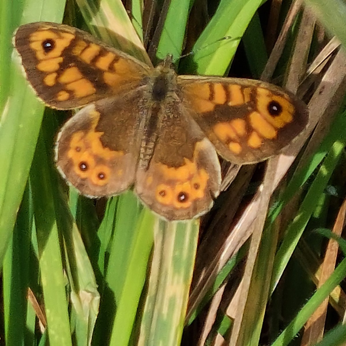 Robert Quadling🦋 tweet media