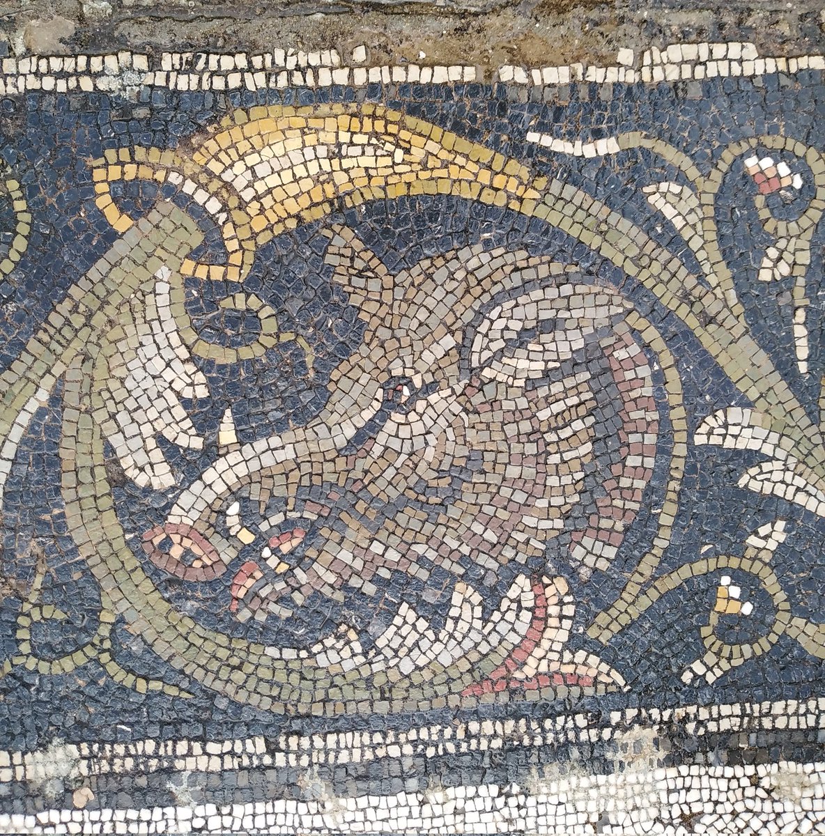 Nabil_1968's tweet photo. Mosaïques de chasse de #Bullaregia
#Túnez #Tunisie #Tunisia #discovertunisia #tourisme #travel https://t.co/c6xMYqEz45