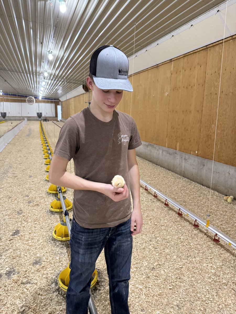 Mark McLean tweet media