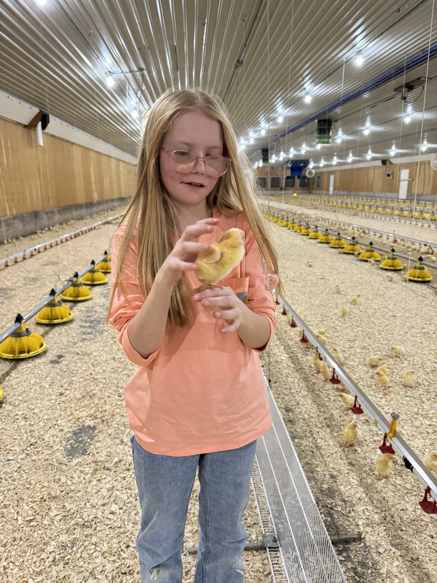 Mark McLean tweet media