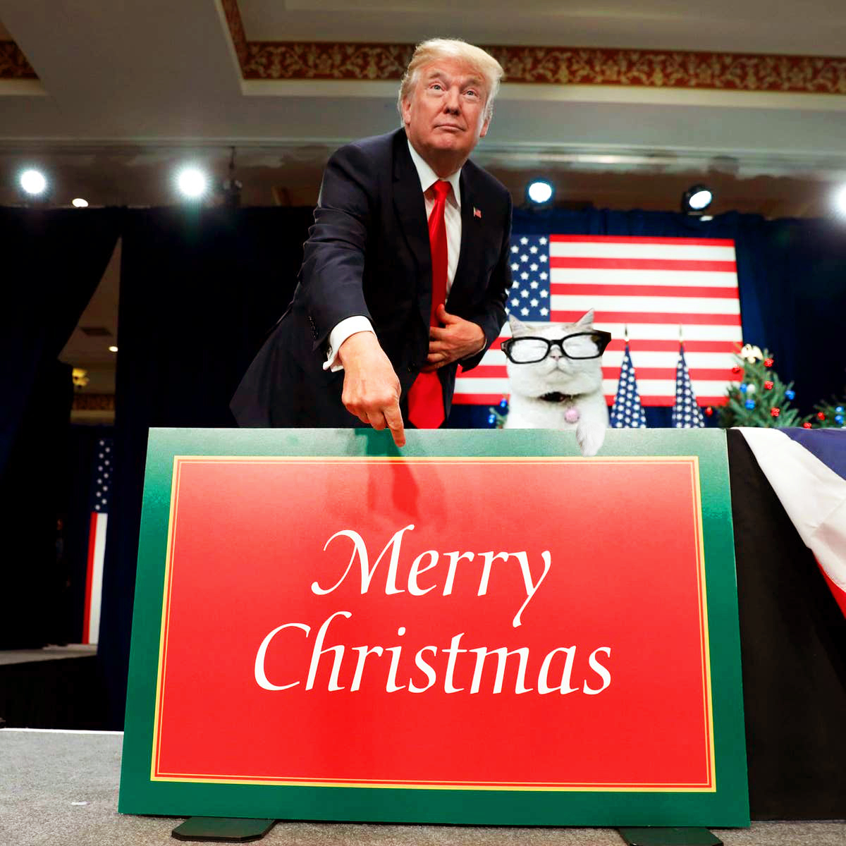 PapiTrumpo's tweet photo. MERRY CHRISTMAS TO EVERYONE— INCLUDING THE HATERS AND LOSERS!!!🎅🎄🎄🎄 https://t.co/DammVMJZbL