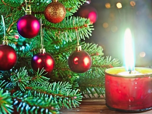 DAFOH wishes you a Merry Christmas 🎄 and a Happy, Healthy New Year !