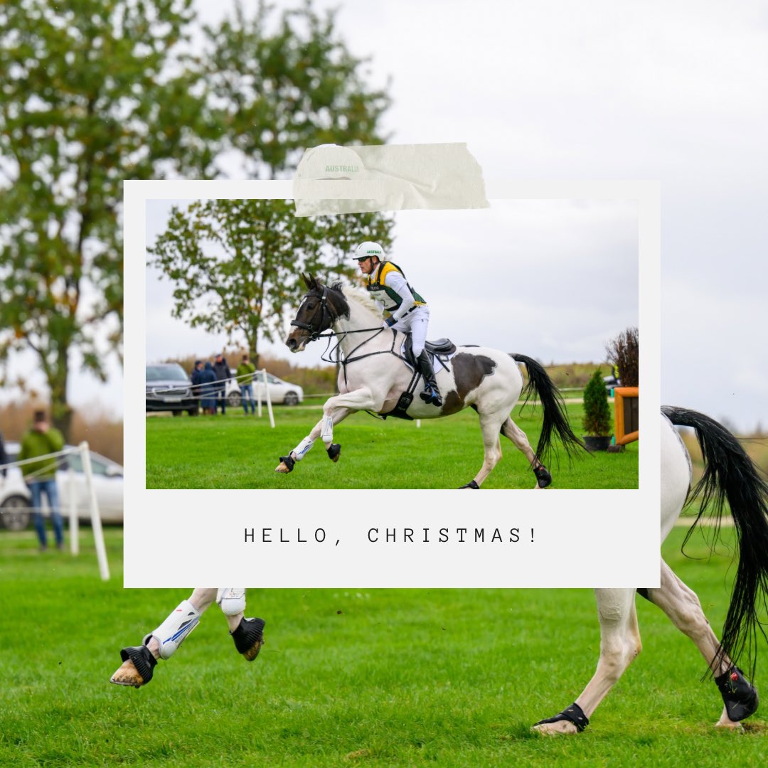 🎄We are wishing our dear friends, partners, clients and followers all around the world a very merry Christmas! 🎄

Enjoy this magical time with your family and friends - and of course your beloved 4-legged family members! ❤️

#MerryChristmas