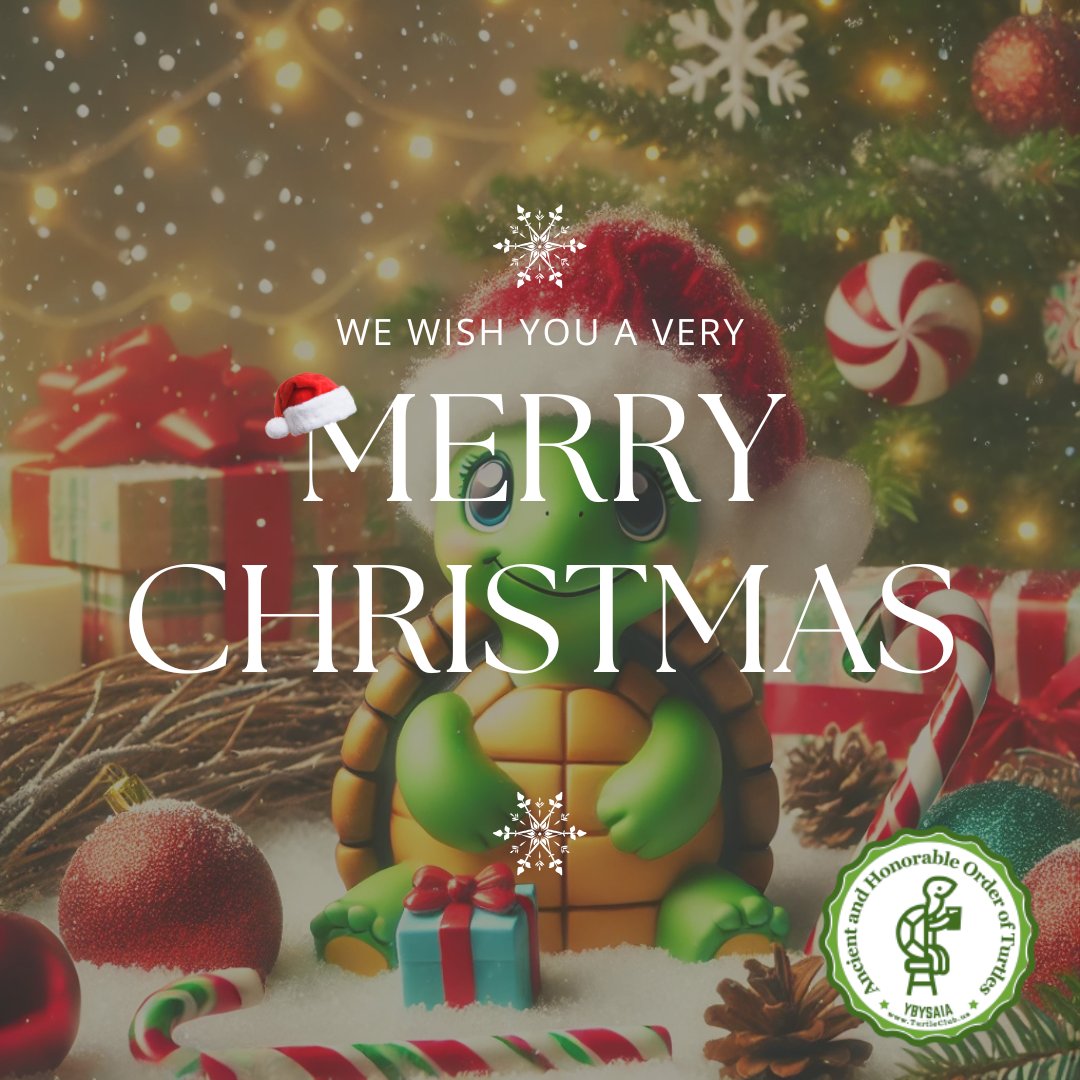 TurtleClubUS's tweet image. 🎄🎅 Merry Christmas from the Turtle Club! 🐢✨

To all our Turtle friends: May your holidays be filled with joy, laughter, and camaraderie. 💚🌟

Wishing you a shell-tastic Christmas &amp;amp; a happy New Year! 🐢🎁

#TurtleClub #MerryChristmas #Shellabration #RUAT #YBYSAIA 🎄