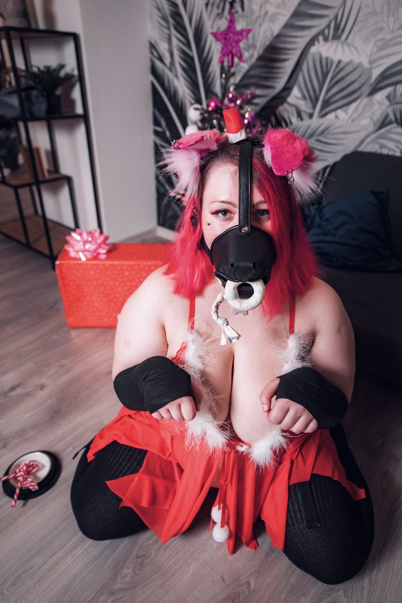 Content from novapuppy