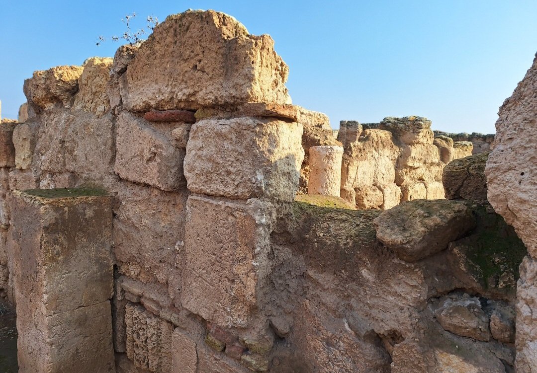 1127 Musul, 1128 Menbic, Bizâa, Halep, 1130 Hama, 1135 Esârib, Zerdana, Marratu'n-Numan, Kefertâb, 1137 Montferrand, 1139 Baalbek, 24 Aralık 1144 Urfa.
Anadolu'da ilk kurulan Haçlı Devleti Urfa Kontluğu'na son veren komutan İmâdeddin Zengi b. Aksungur...
Mekanın cennet olsun.