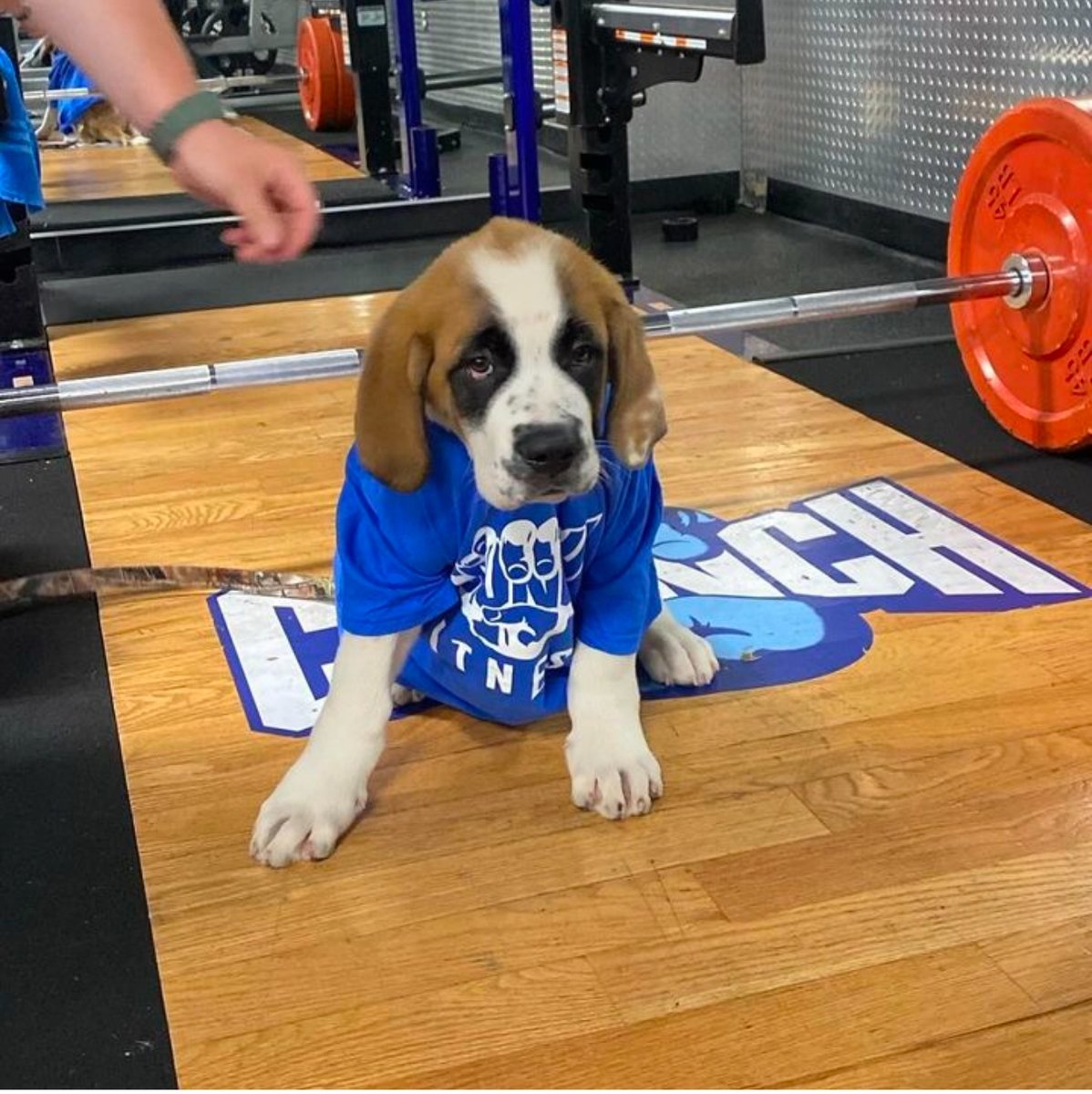 Crunch Fitness tweet media