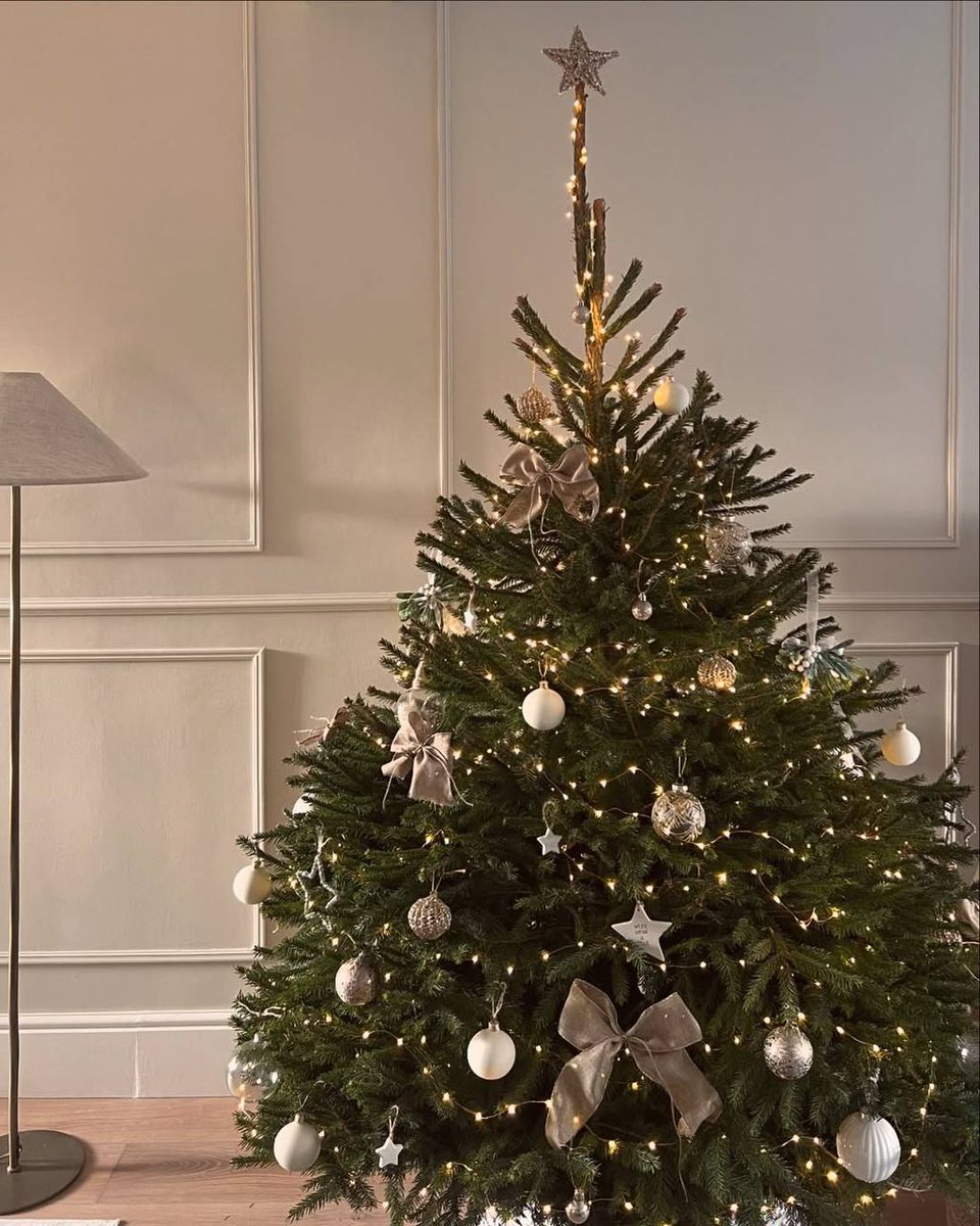 SnoDexSol's tweet image. May you have the gift of faith, the blessing of hope and the peace of love at Christmas and always! Merry Christmas! 🎄