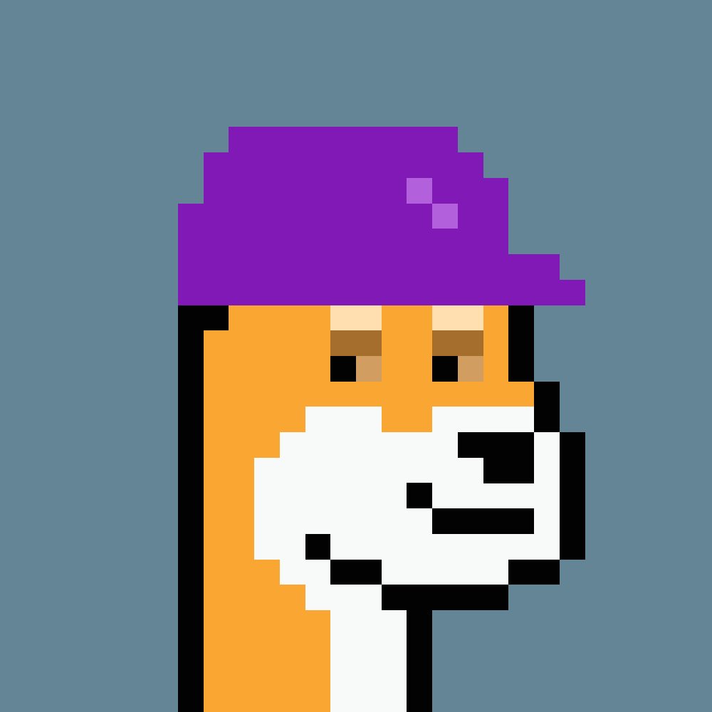 DogePunks tweet media