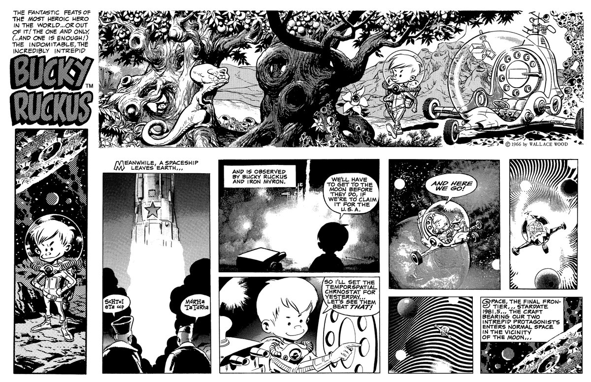 ContactWood's tweet photo. Another #WallaceWOOD trademark character, #BuckyRUCKUS™
Wood brainstormed Bucky in the '40s & '50s; 1st saw print in #witzend #1 (1966) & related ads ('65-on). Since, in newspaper strips, Wood's Lunar Tunes graphic novel, later issues of witzend, Wally Wood Christmas book, etc. https://t.co/ESaC9tuYow