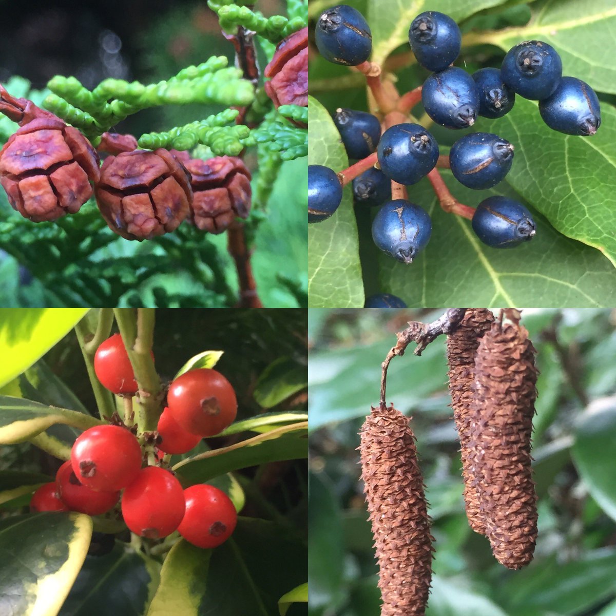 All of us at Moore &amp; Moore wish you and all those you know and love a very happy and peaceful Christmas and a prosperous and healthy New Year.