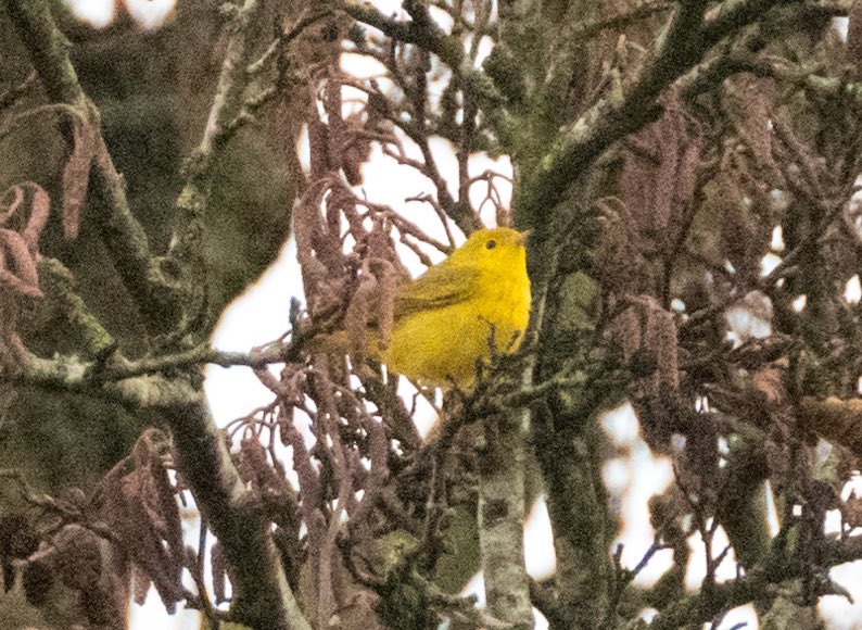 Ruth Weaver (Ruth’s Portraits) tweet media